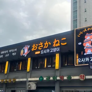 오사카고양이 리뷰 사진
