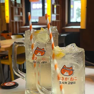 오사카고양이 사진