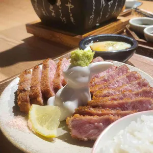 사토규카츠 사진
