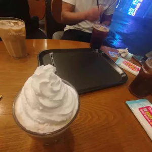 커피나무 사진