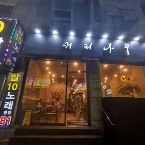 커피나무 사진