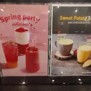 커피나무 사진