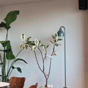 폰드x홍미당 리뷰 사진