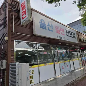 울산밀면전문점 리뷰 사진