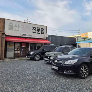 울산밀면전문점 리뷰 사진