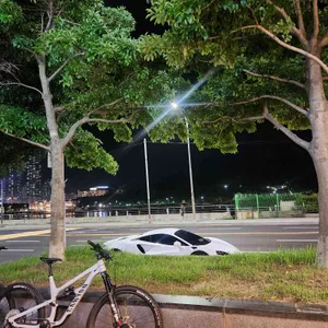 알라바마 리뷰 사진