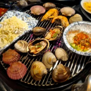 우아한조개 사진