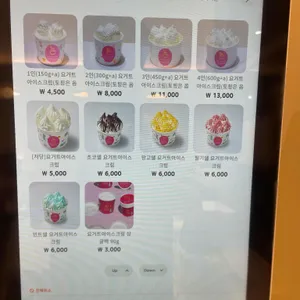 요거트아이스크림의정석 리뷰 사진