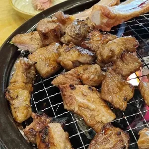 갈비둥지 사진