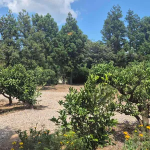 몽라브 리뷰 사진