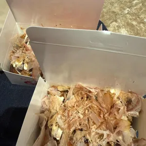 긴타코 사진