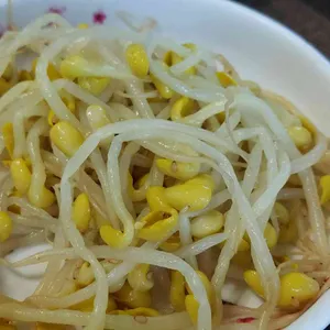 새소반쭈꾸미 사진