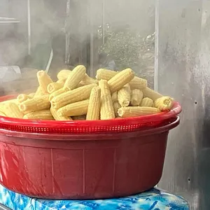 수철옥수수 사진 1