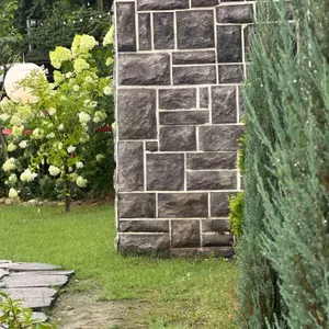 인플럭스 대표 사진