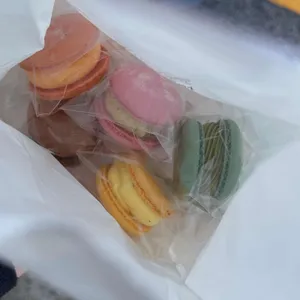 페페하우스 사진