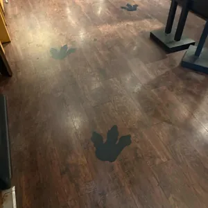 아웃백 리뷰 사진