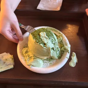 토터스 사진