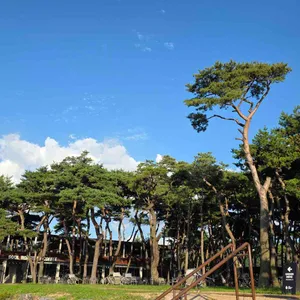 소울 로스터리 리뷰 사진