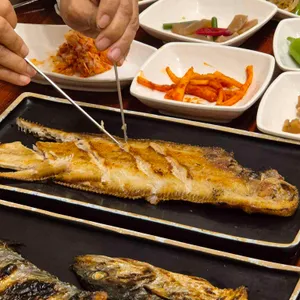 북극해고등어 사진 1
