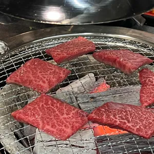 정직한하누 사진