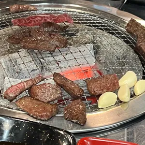 정직한하누 사진