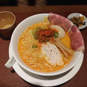멘지 사진