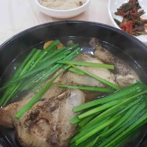 참일능이 사진