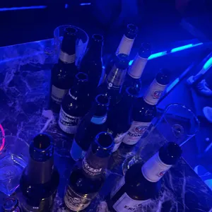 LP홀리데이 대표 사진