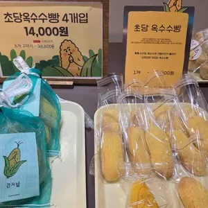 감자밭 사진