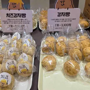 감자밭 사진