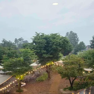 감자밭 리뷰 사진