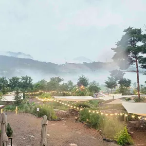 감자밭 리뷰 사진