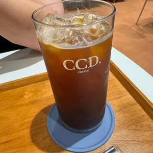 카페CCD 사진