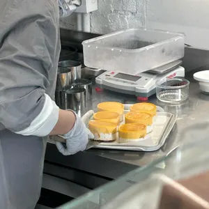 돌파운드 사진