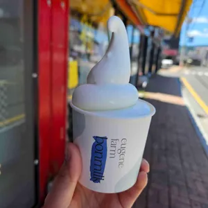 본밀크 사진 1