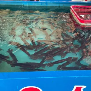동명항오징어난전 리뷰 사진