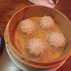 샤오바오 사진 2