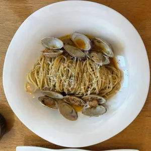 군스빽립 사진