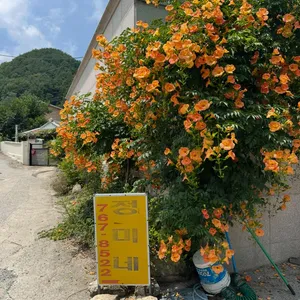 정미네 리뷰 사진