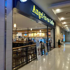 엔제리너스 리뷰 사진