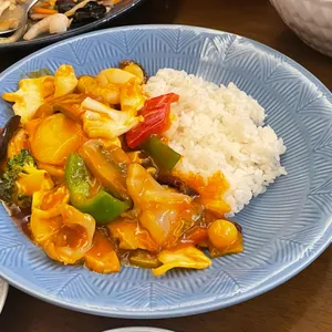 목란 사진