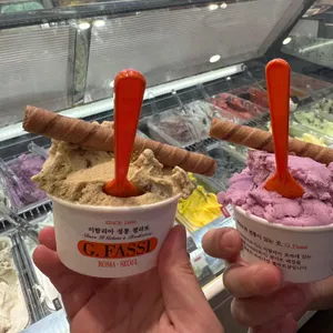 지파시 사진