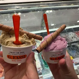지파시 사진 2
