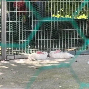 가평카페109 리뷰 사진