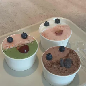 누볼라 사진