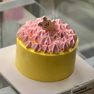 노티드 사진