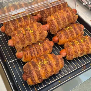후탄 사진