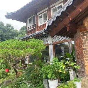 진주냉면 이설옥 리뷰 사진