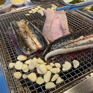 장어의꿈 사진