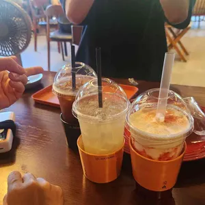 솔티에라 사진